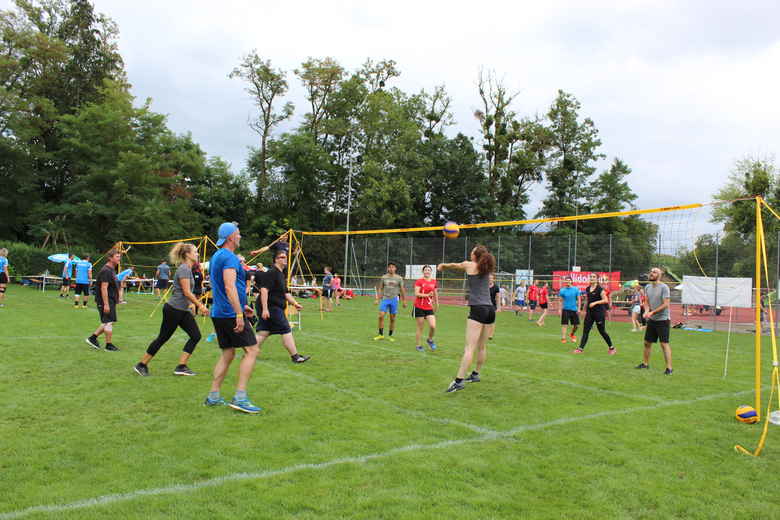 Volley  (73)